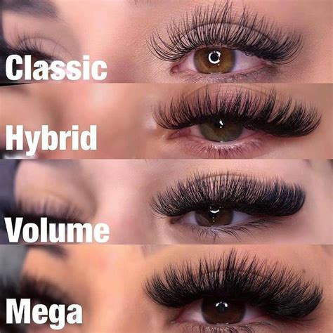 Classic v hybrid lashes. Things To Know About Classic v hybrid lashes. 